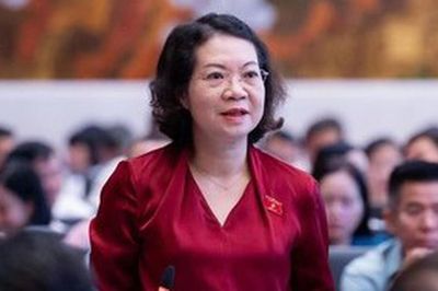 ĐBQH đề nghị thận trọng với biện pháp cắt điện, nước, Internet để cưỡng chế