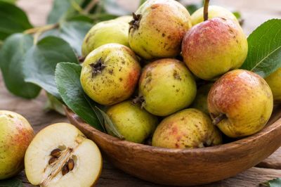 10 thực phẩm có nguồn gốc thực vật tốt cho người bị gan nhiễm mỡ