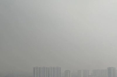 Ô nhiễm không khí được cho là liên quan đến 95.000 ca tử vong sớm