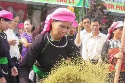 Từ hạt lúa non đến lễ hội văn hóa
