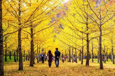 Sự phục hồi tích cực