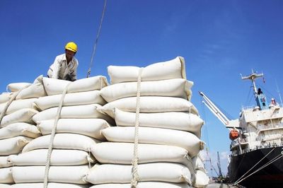 Từ 1/10, điều kiện kinh doanh xuất khẩu gạo thay đổi thế nào?
