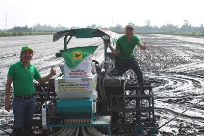 Hiệu quả mô hình lúa-tôm và sức khỏe đất sau mỗi mùa vụ