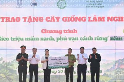 Trao tặng 86.300 cây giống lâm nghiệp cho tỉnh Thái Nguyên