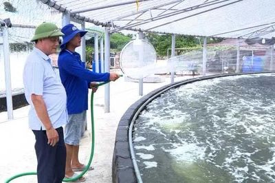 Phát triển mô hình sản xuất thủy sản bền vững, nâng cao giá trị