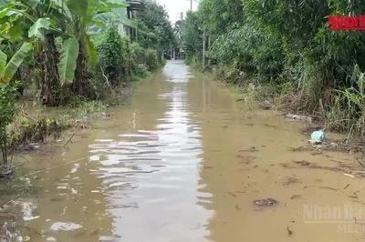 [Video] Khu dân cư cạnh cao tốc Biên Hòa-Vũng Tàu lần thứ 3 ngập trong 3 tuần