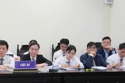 Đưa chế định luật sư công vào cuộc sống