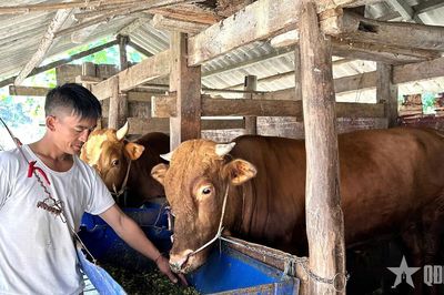 Thò Mí Xá – Bí thư người Mông gieo niềm tin trên miền đá núi