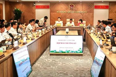 Dịch vụ bưu chính: Giảm từ 14 còn 1 thủ tục hành chính