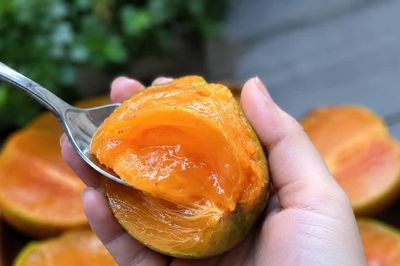 Đặc sản Thái Nguyên khan hiếm vì mùa vụ ngắn, 200.000đ/cân vẫn cháy hàng