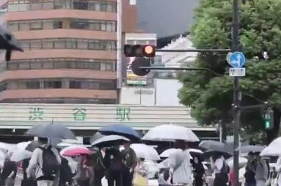 Tokyo trải qua chuỗi ngày mưa dài nhất trong lịch sử ghi nhận