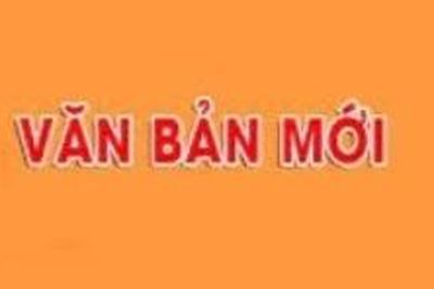 Loạt chính sách mới đáng chú ý có hiệu lực từ tháng 10/2026