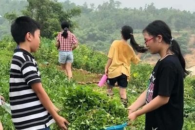 Tổng Chủ biên chương trình giáo dục trải nghiệm: Không bắt buộc đưa học sinh đi xa trải nghiệm
