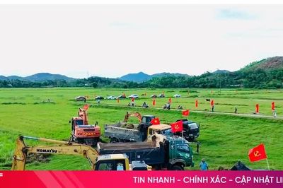 Hà Tĩnh tập trung, tích tụ hơn 15.100 ha đất sản xuất nông nghiệp