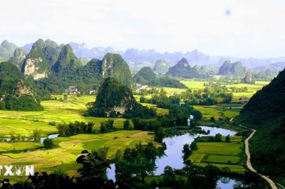 Khám phá vẻ đẹp mùa vàng của thung lũng Ngọc Côn tại Cao Bằng