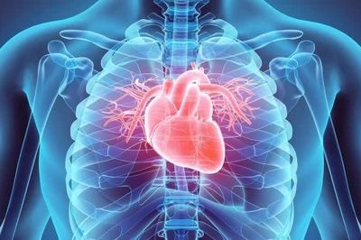 Nhật Bản: Ca phẫu thuật đầu tiên trên thế giới dùng tế bào gốc cơ tim