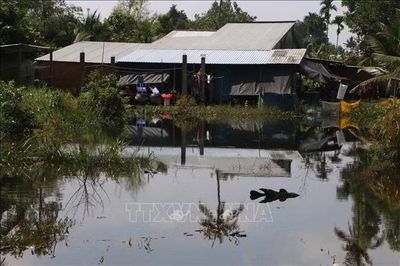 Lũ kết hợp triều cường gây ngập, ảnh hưởng đến sản xuất, đời sống người dân