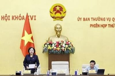 UBTV Quốc hội cho ý kiến về Luật Đấu thầu (sửa đổi)