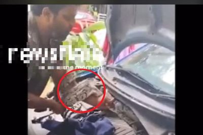 Vừa mở ô tô, người dân bỗng thấy cảnh tượng 'nổi da gà'