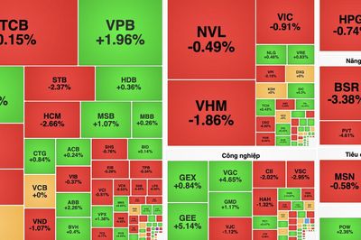 VN-Index giảm hơn 9 điểm, nhóm dầu khí và bất động sản gây sức ép