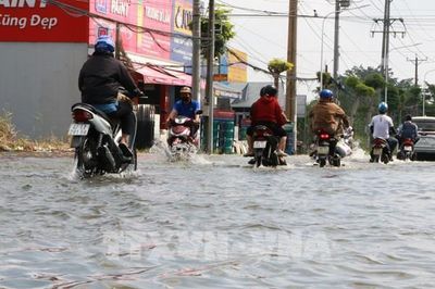 Khi lũ gặp triều cường, nhiều tuyến đường Đồng Tháp ngập sâu