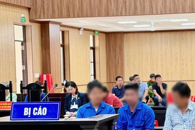 Làm giả hồ sơ hợp thức hóa hơn 43.000m² đất công: Tòa trả hồ sơ điều tra bổ sung