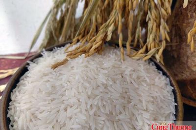 Gạo Việt Nam: Không thể chỉ cạnh tranh bằng giá