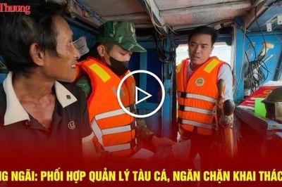Quảng Ngãi: Phối hợp quản lý tàu cá, ngăn chặn khai thác IUU