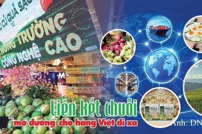 Liên kết chuỗi ‘mở đường’ cho hàng Việt đi xa