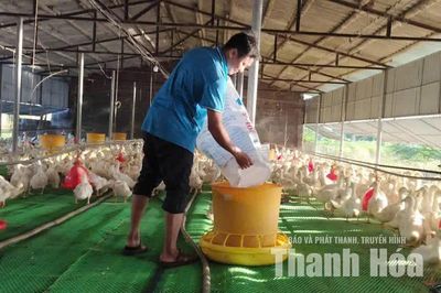Việc làng trên vai người trẻ