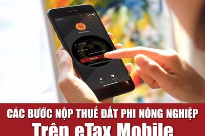 Hướng dẫn nộp thuế đất phi nông nghiệp trên eTax Mobile