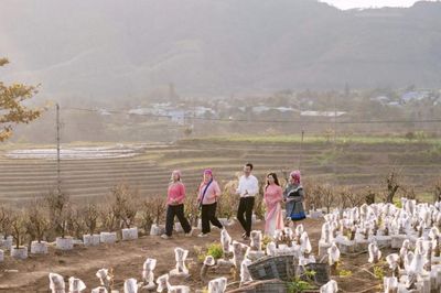 Nông sản từ bản làng vươn toàn quốc qua thương mại điện tử