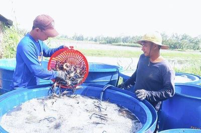 An Biên thực hiện đạt, vượt 21/24 chỉ tiêu nghị quyết