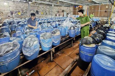Vi phạm an toàn thực phẩm: Đâu là ranh giới giữa hành chính và hình sự?