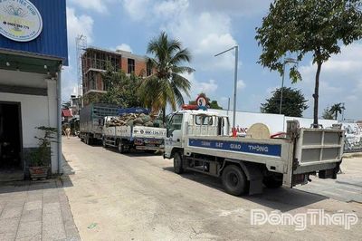 Chở quá tải vào hẻm, 2 xe tải bị phạt 300 triệu, tước phù hiệu 2 tháng