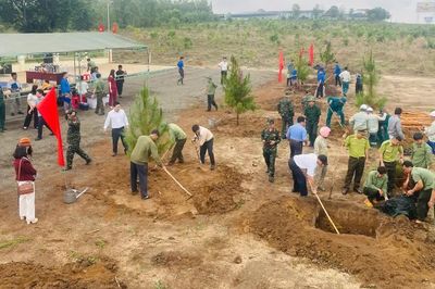 Gia Lai đẩy nhanh tiến độ trồng rừng trong mùa mưa