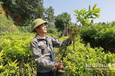Để mắc ca vươn xa - Kỳ 3: Phát triển bền vững