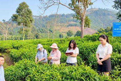 Tạo lực đẩy mới cho khoa học, công nghệ và đổi mới sáng tạo ở Lào Cai