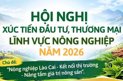 Hội nghị xúc tiến đầu tư, thương mại lĩnh vực nông nghiệp năm 2026
