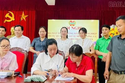 Giải ngân 1,8 tỷ đồng Quỹ Hỗ trợ nông dân tại xã Bảo Ái và phường Văn Phú