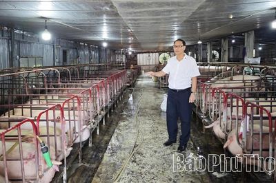 Tỷ phú nhà nông trên quê hương Đất Tổ