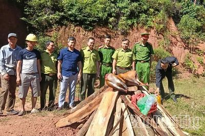 Tiêu hủy cá thể hoẵng là tang vật vi phạm quy định về quản lý động vật rừng