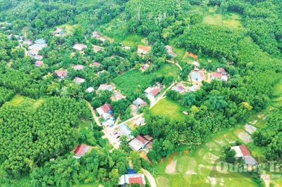 Từ 'Bình dân học vụ số 1.1.1'...