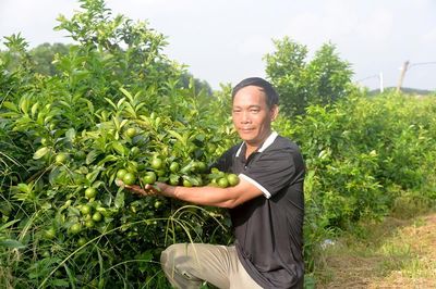 Làm giàu từ cây chanh tứ mùa