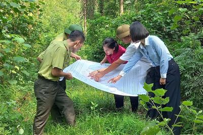 Giữ màu xanh Khuôn Mánh