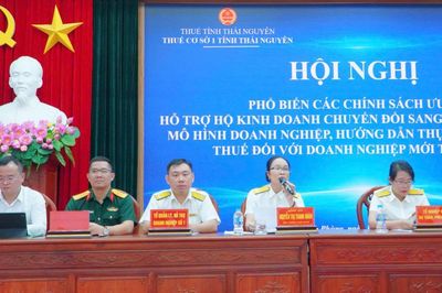 Gần 500 hộ, cá nhân kinh doanh được hỗ trợ chuyển đổi sang doanh nghiệp
