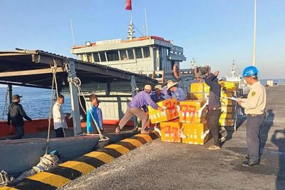 Cảng Bến Đình ở Quảng Ngãi chính thức tiếp nhận tàu hàng cập cảng