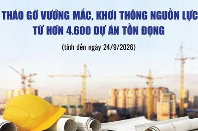 Infographics: 93,5% dự án tồn đọng đã được xử lý, có cơ chế tháo gỡ