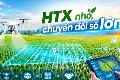 HTX nhỏ, chuyển đổi số lớn