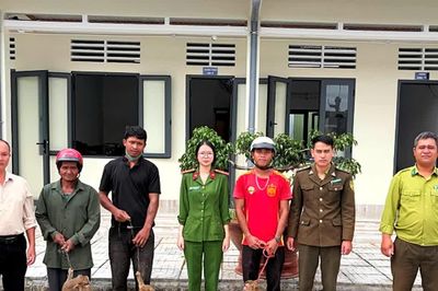 Tự nguyện giao nộp 4 cá thể khỉ